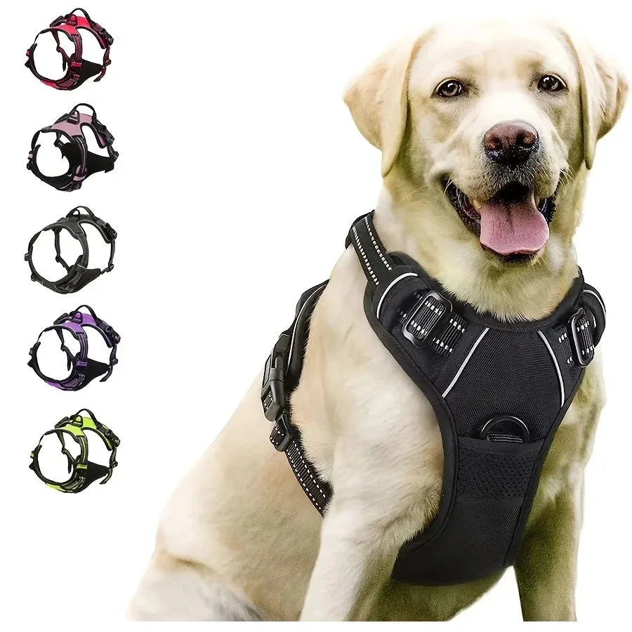 WalkEasy Harness