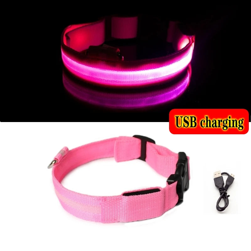 LED dog collar
