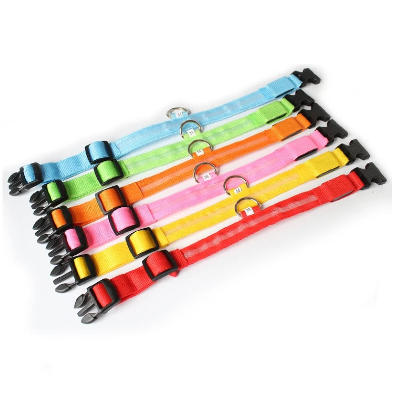 LED dog collar