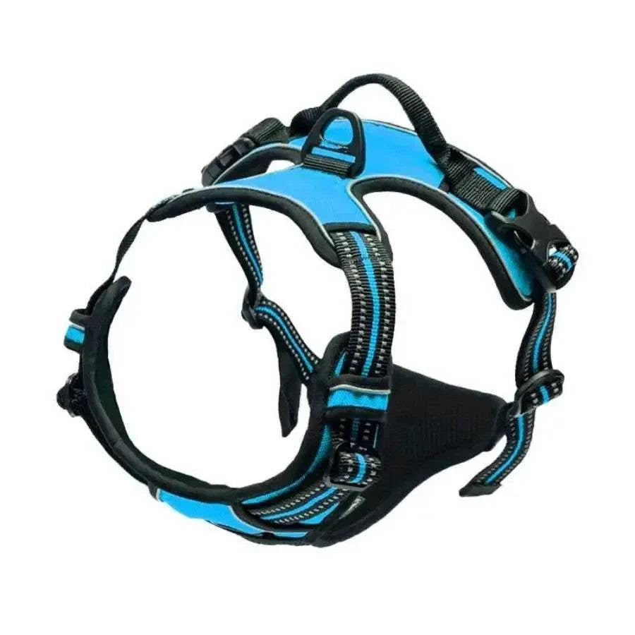 WalkEasy Harness on dog walking outdoors with reflective strips for safety