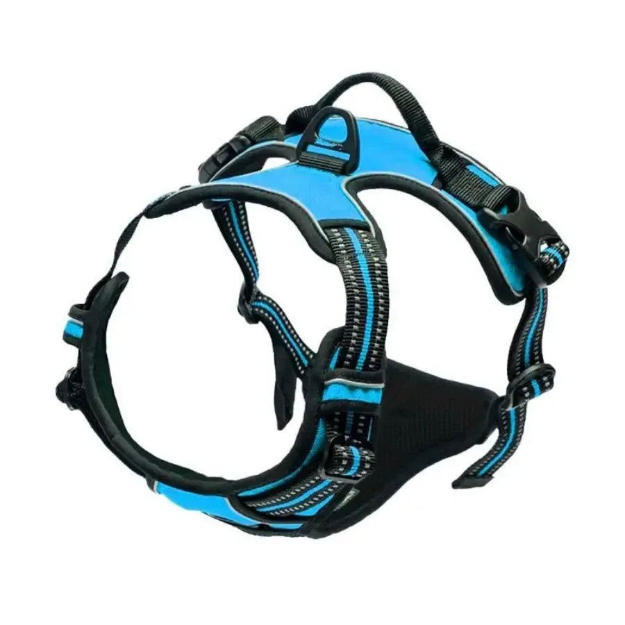 WalkEasy Harness