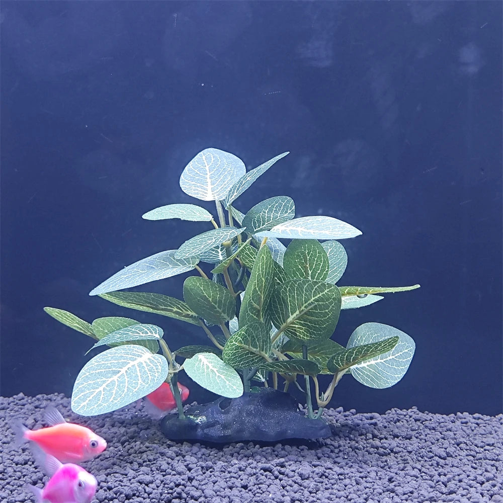 AquaScape Plants