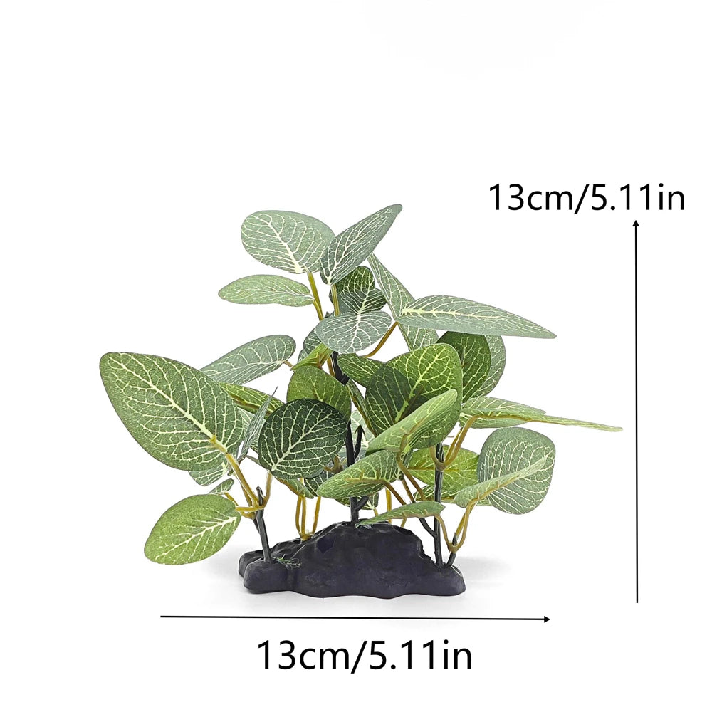 AquaScape Plants