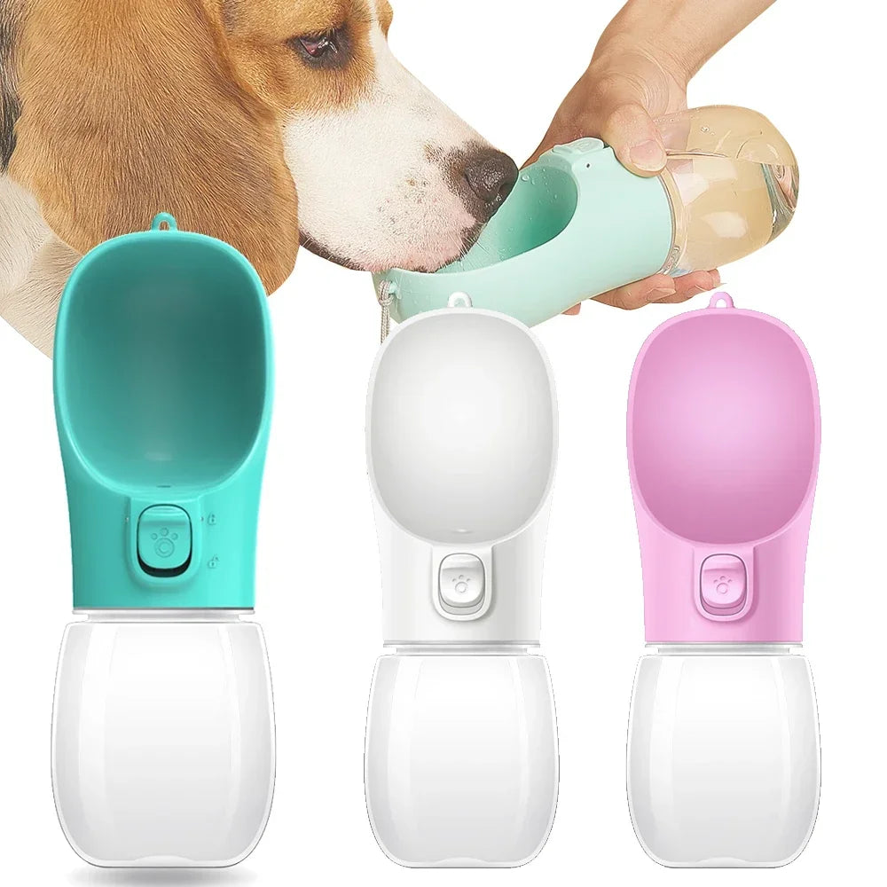 SipGo Bottle