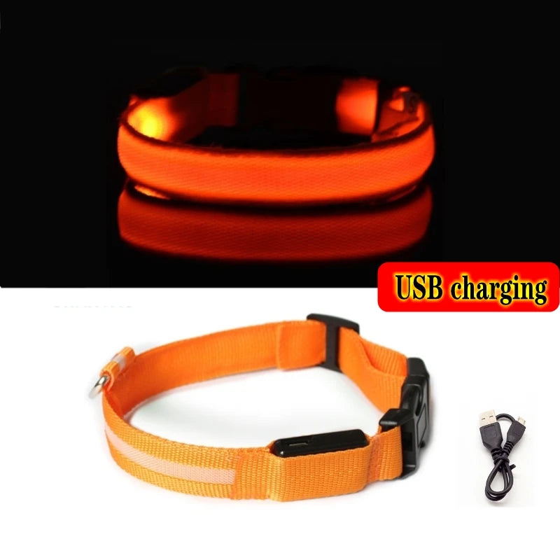 LED dog collar