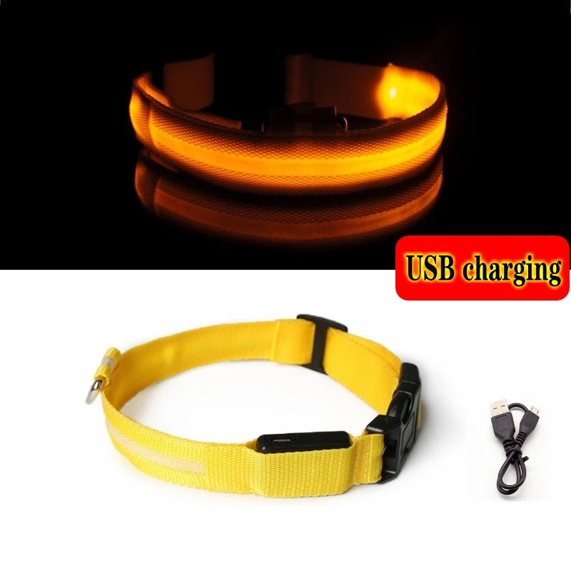 LED dog collar