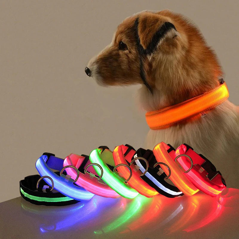 LED dog collar