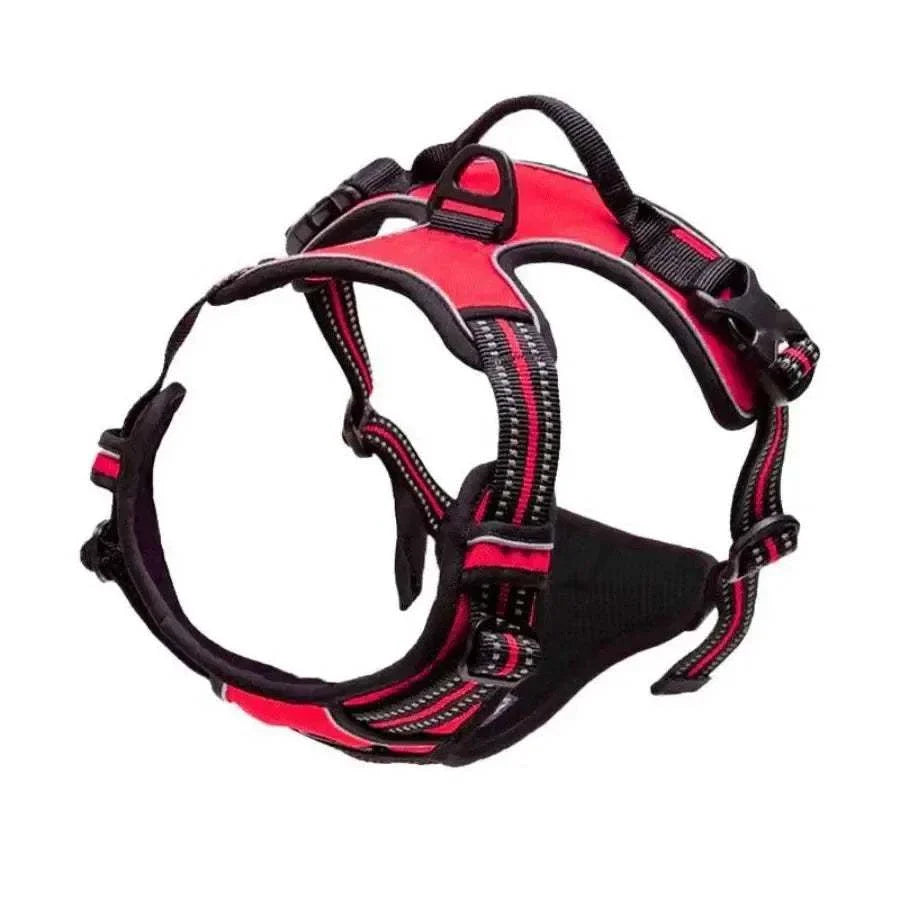 Dog wearing WalkEasy Harness enjoying a calm and safe walk with reflective strips visible in low light