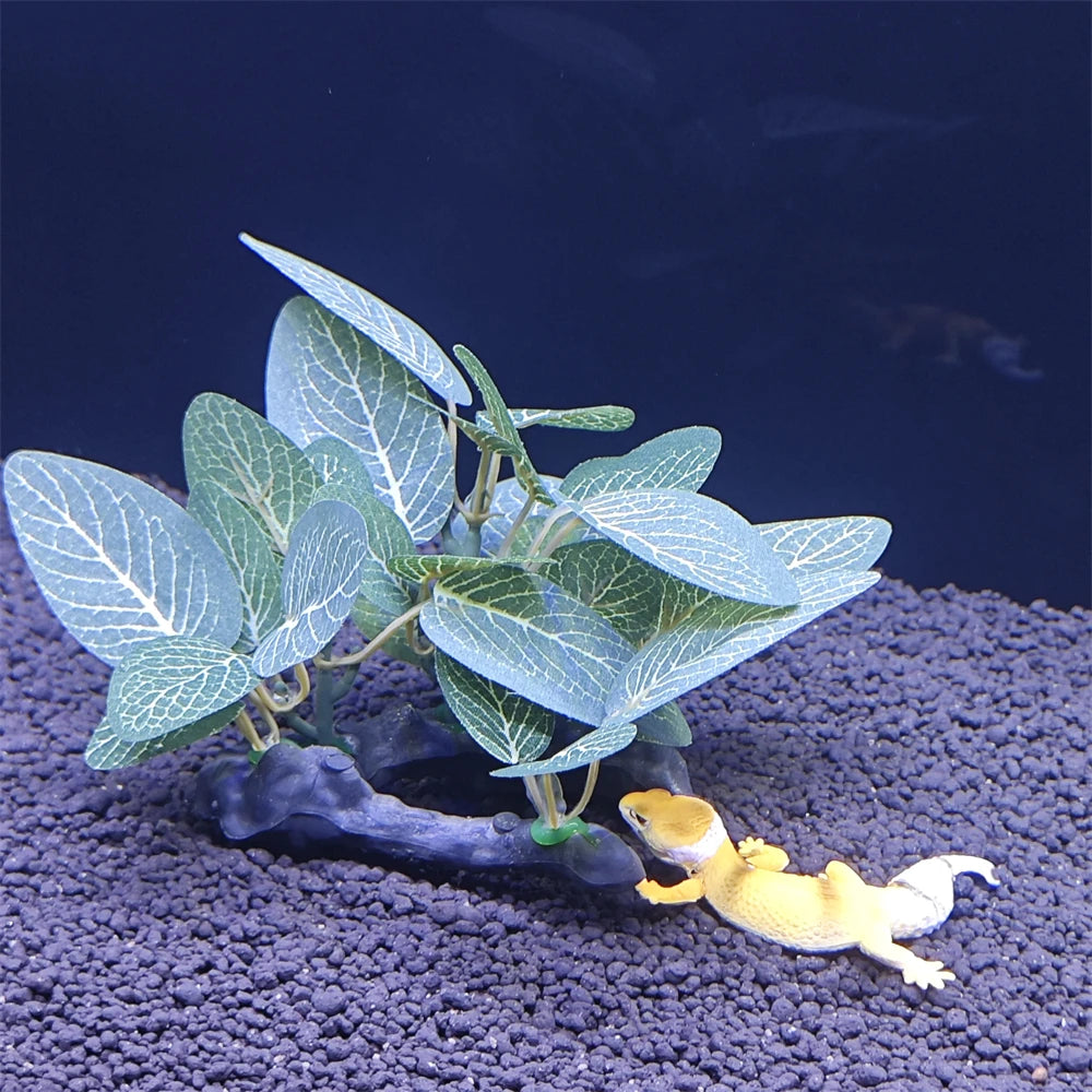 AquaScape Plants