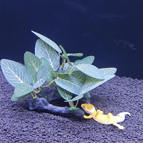 AquaScape Plants