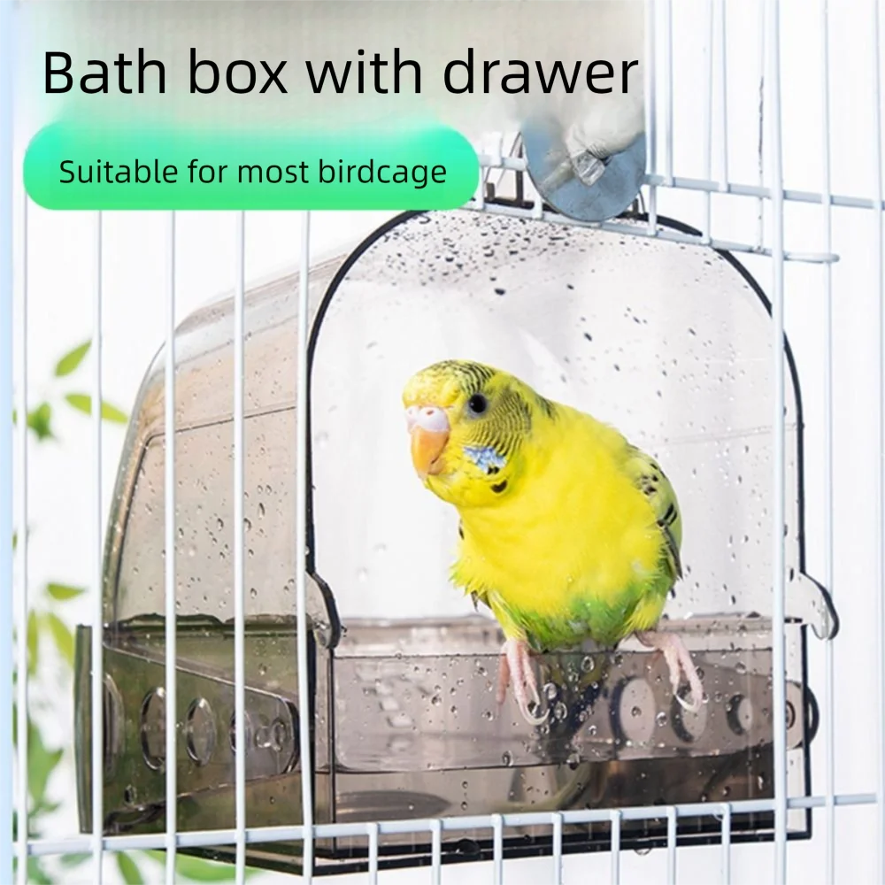 SplashBath