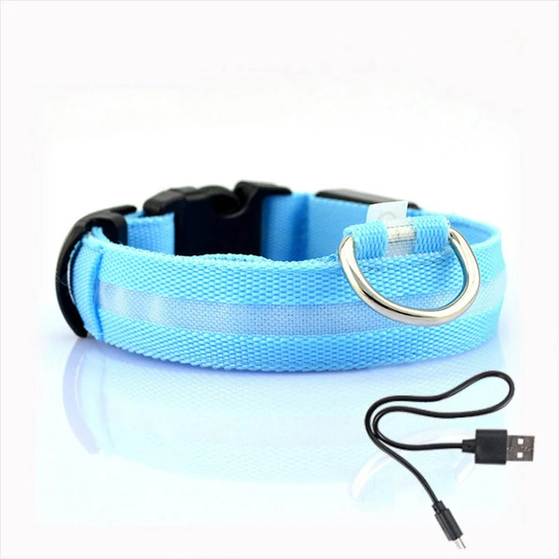 LED dog collar