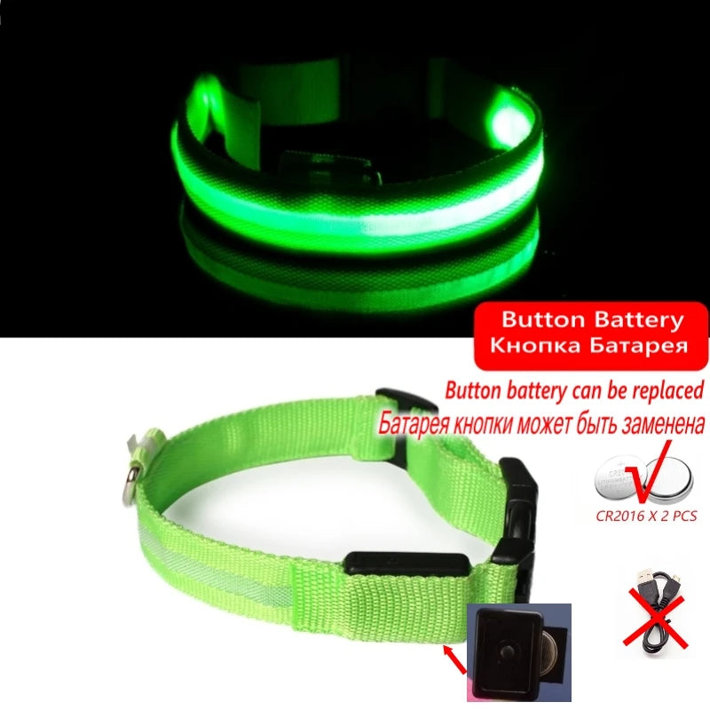 LED dog collar