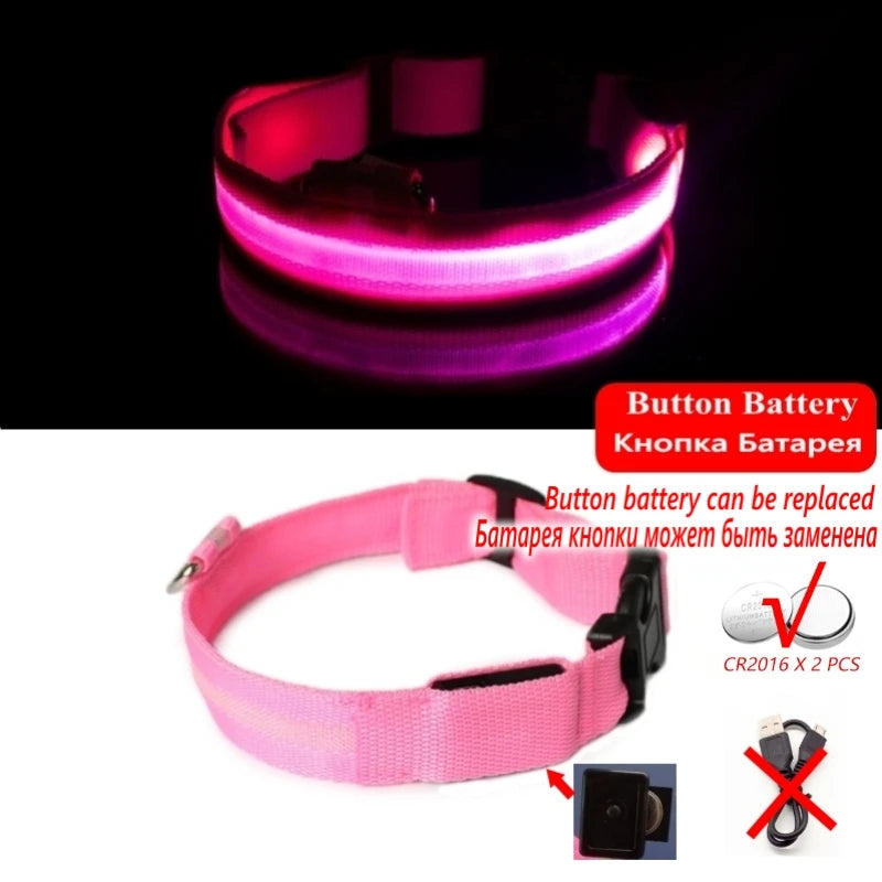 LED dog collar