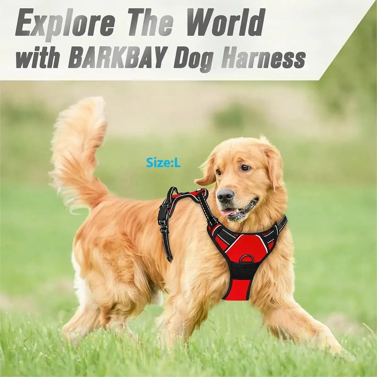 WalkEasy Harness