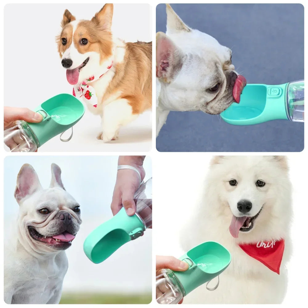SipGo Bottle