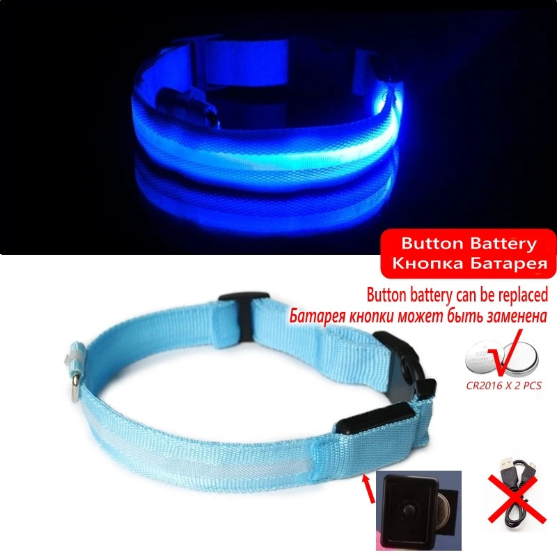 LED dog collar