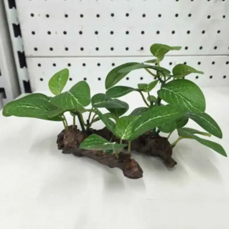 AquaScape Plants