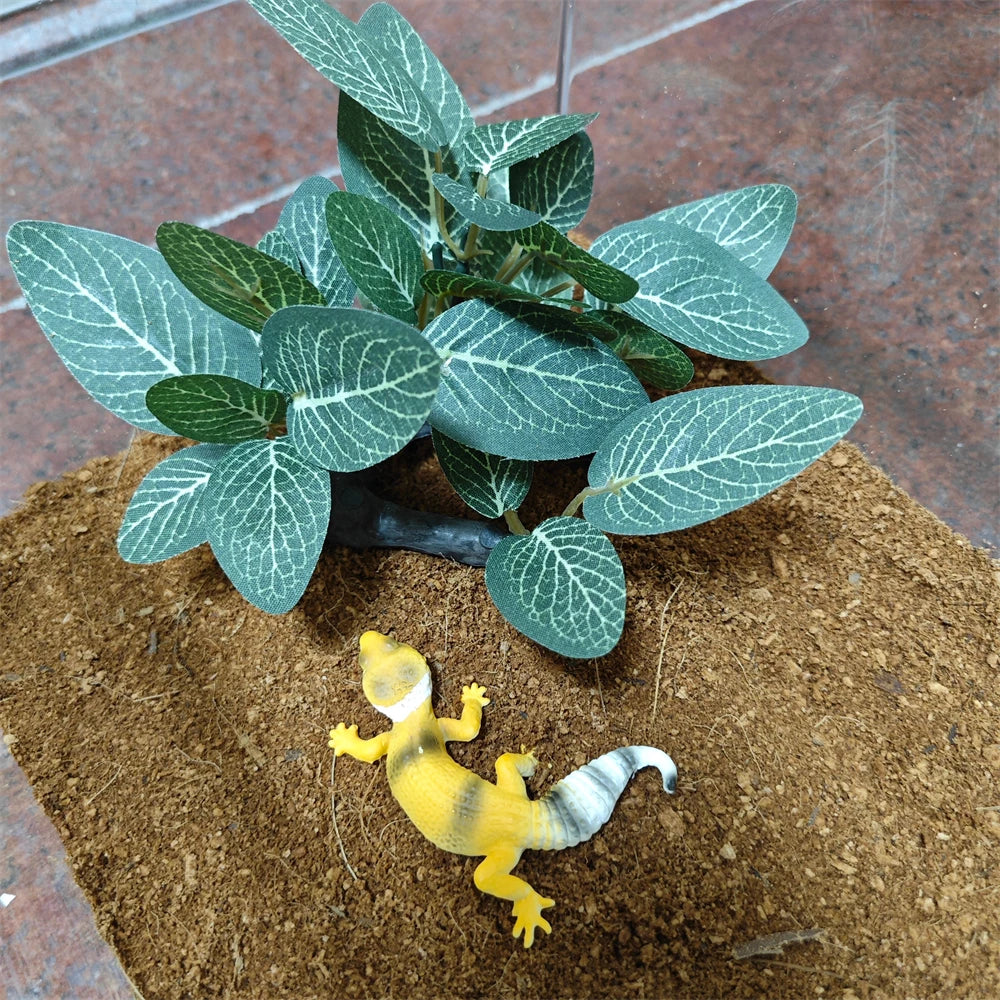 AquaScape Plants