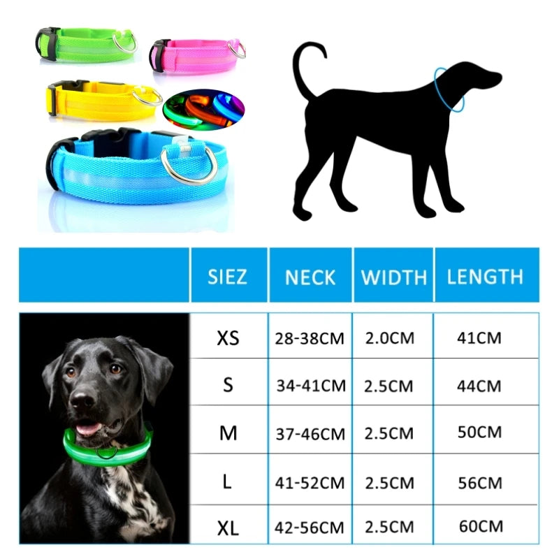 LED dog collar