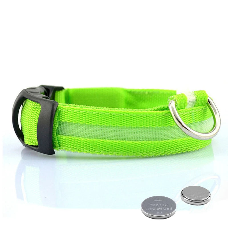 LED dog collar