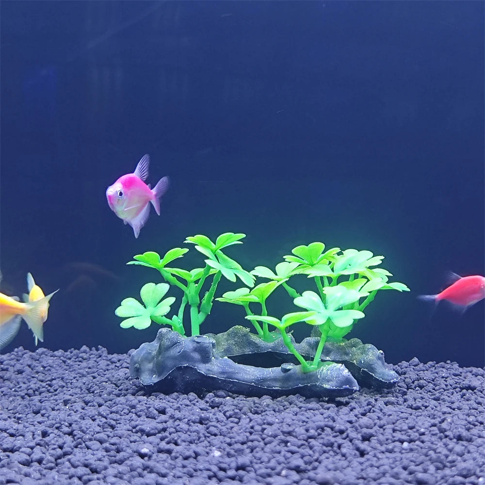 AquaScape Plants