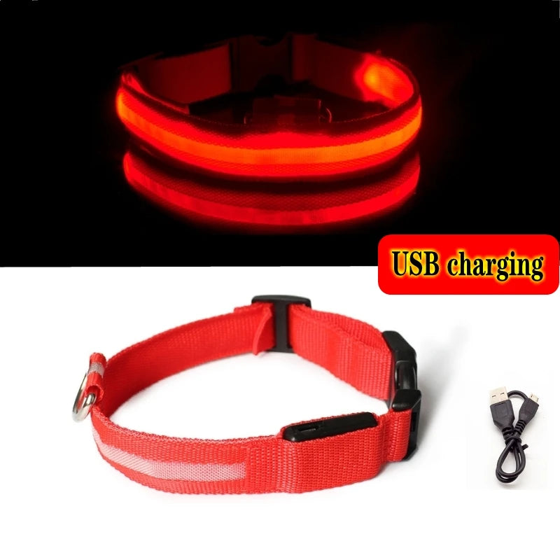 LED dog collar