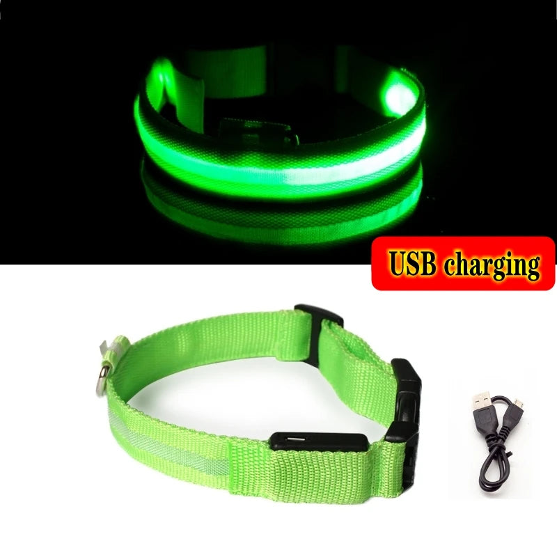 LED dog collar