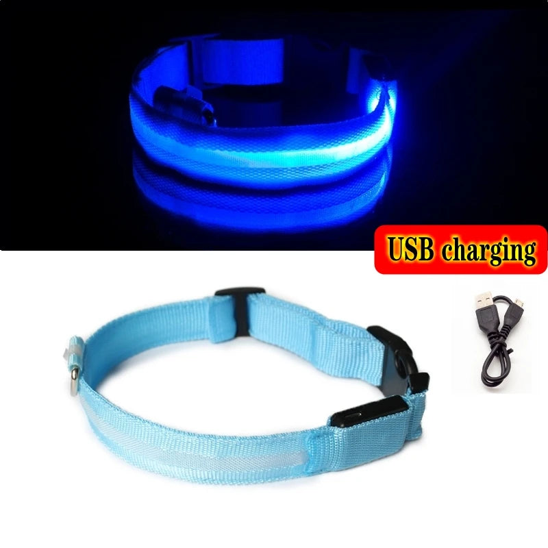 LED dog collar