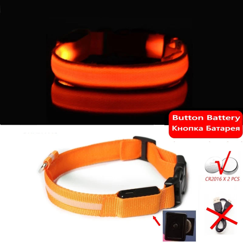 LED dog collar