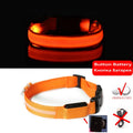 LED dog collar