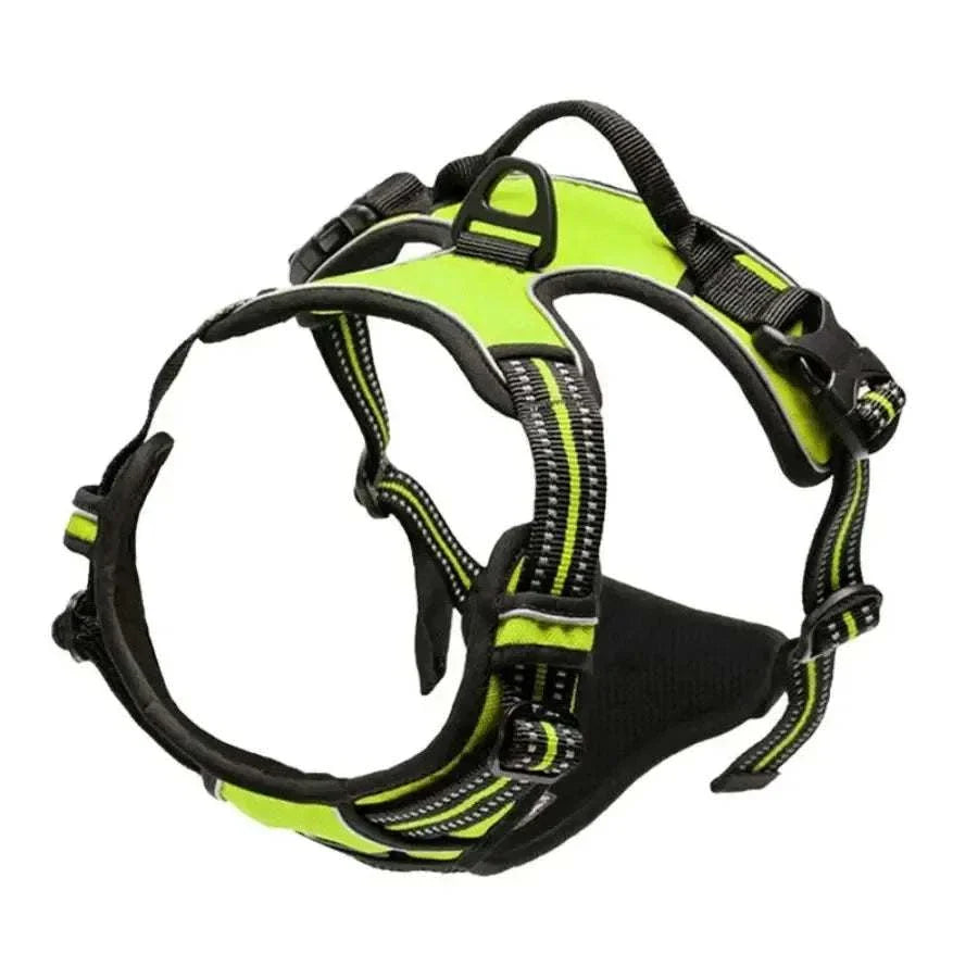 Dog wearing WalkEasy Harness walking calmly on a leash outdoors
