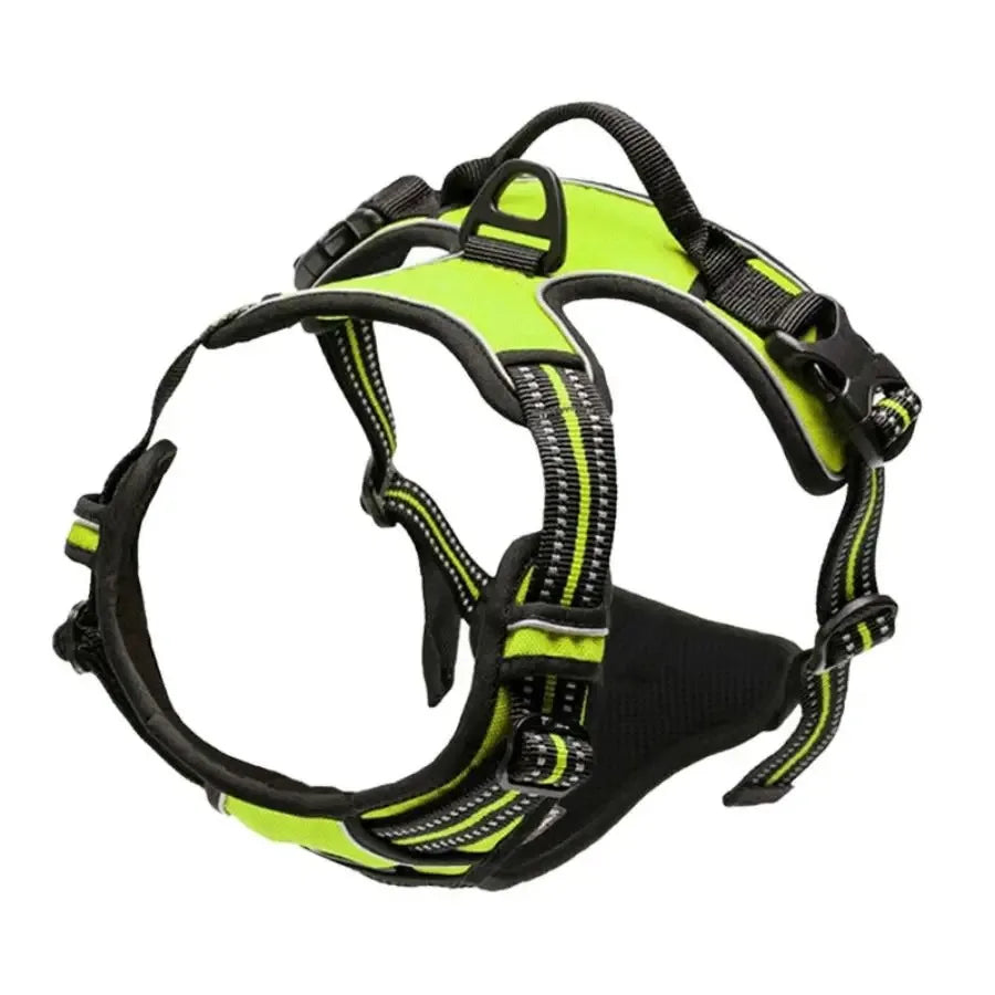 WalkEasy Harness