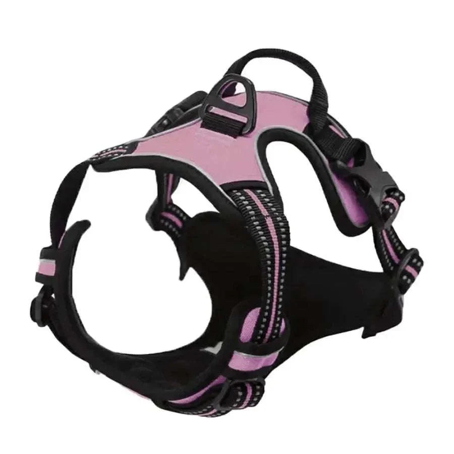 Dog wearing WalkEasy Harness walking calmly beside owner with reflective strips visible in dim light