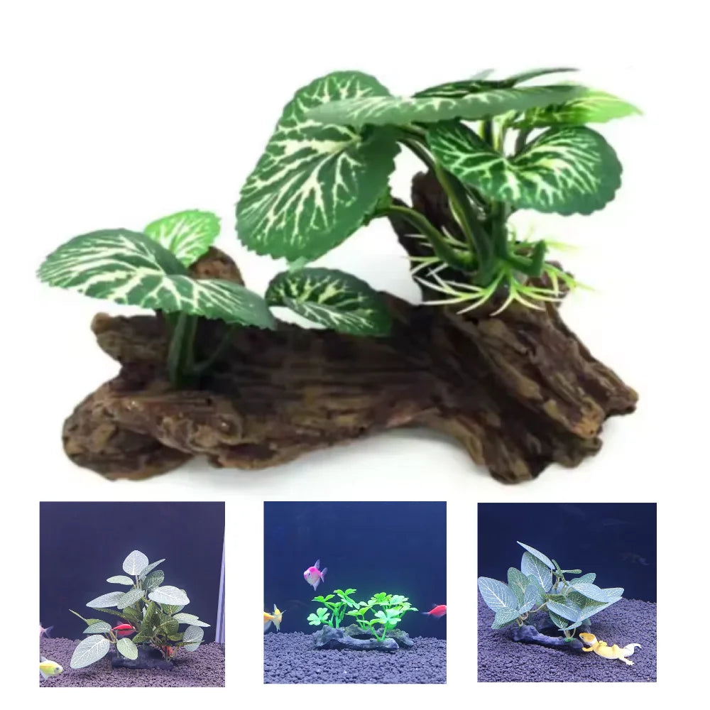 AquaScape Plants
