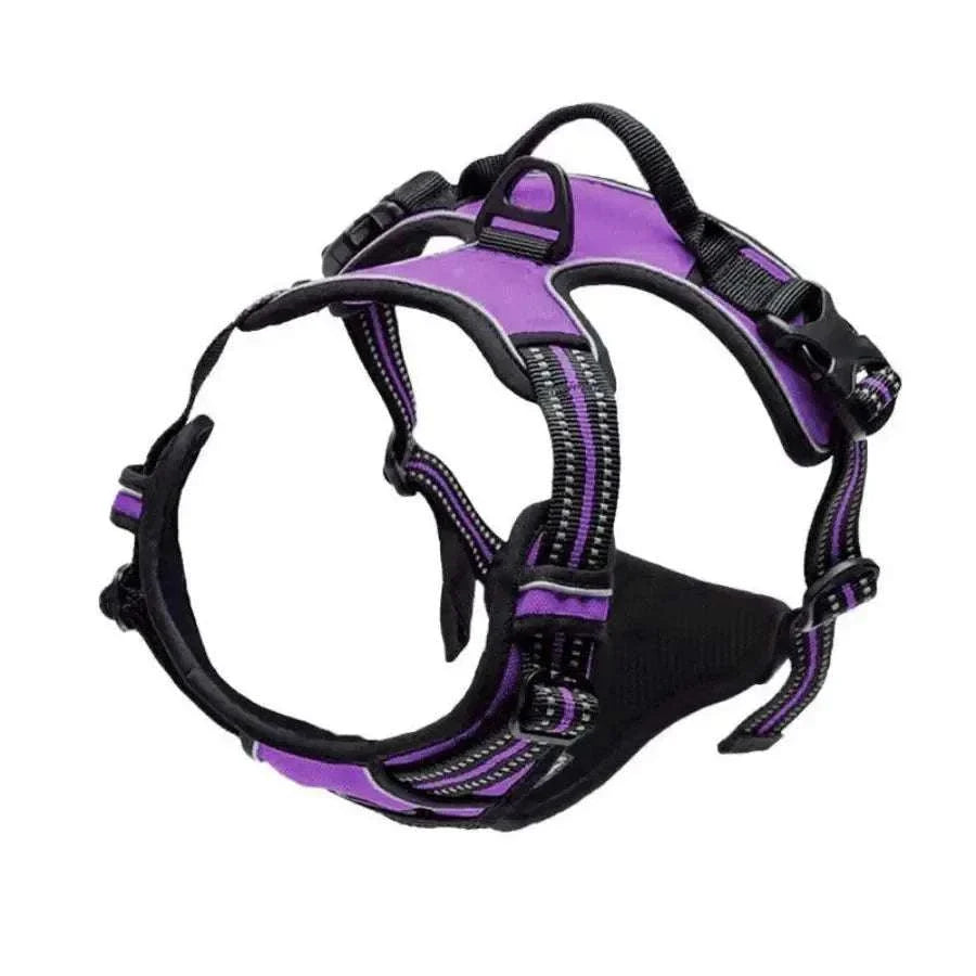 dog wearing WalkEasy Harness on a walk with owner
