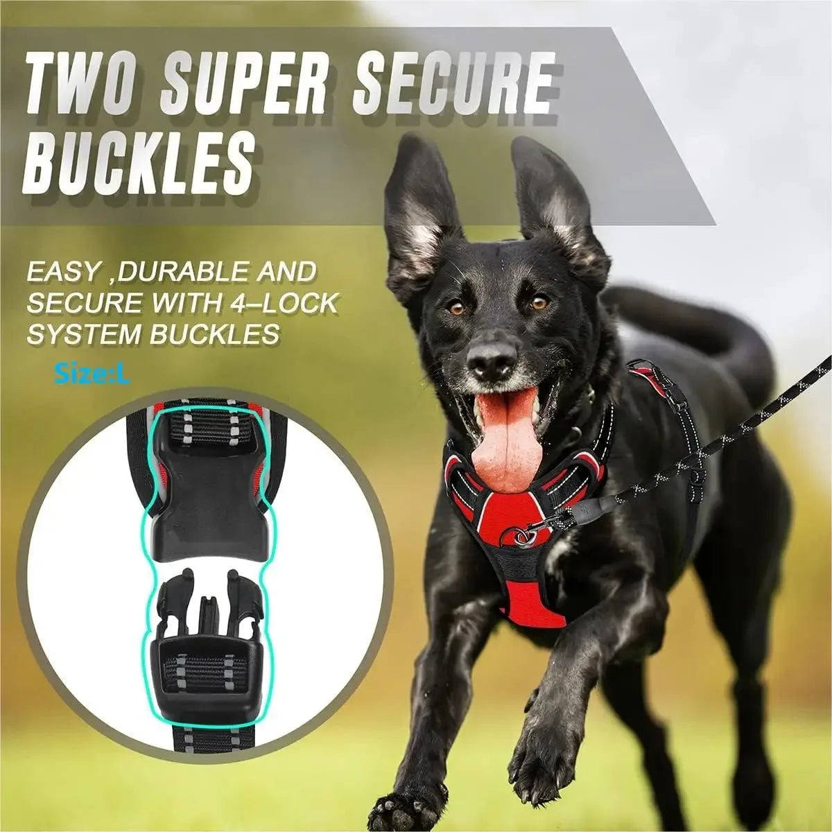 WalkEasy Harness
