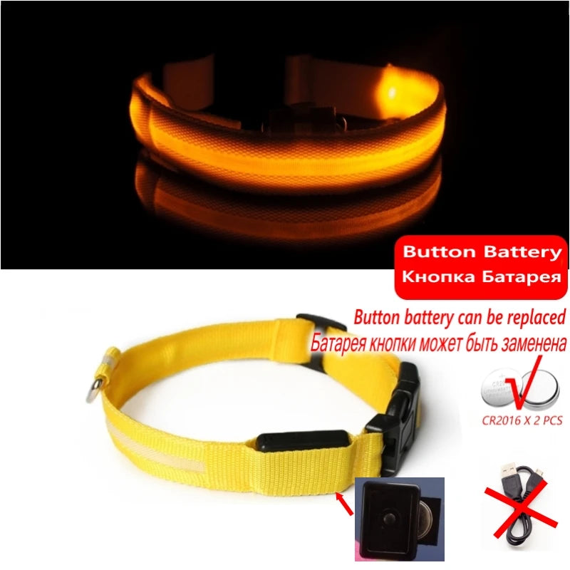 LED dog collar