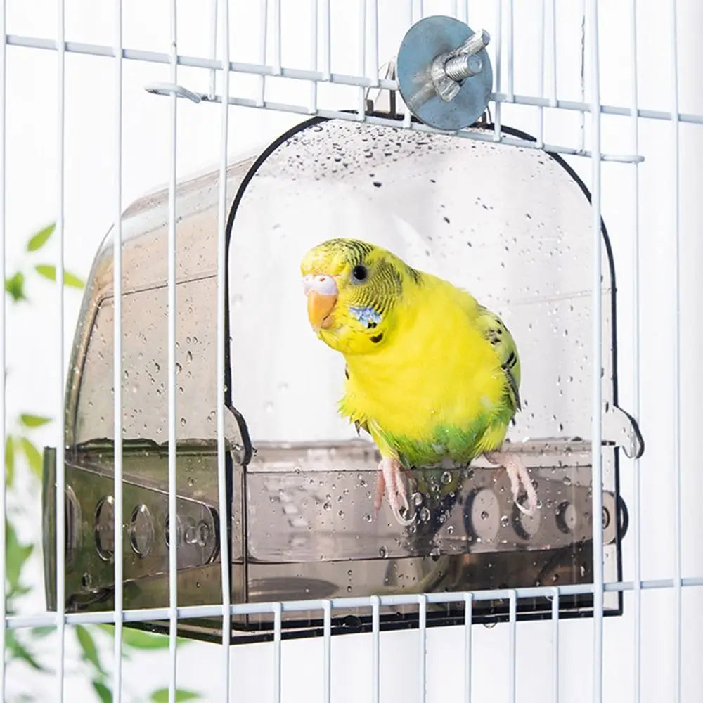 SplashBath