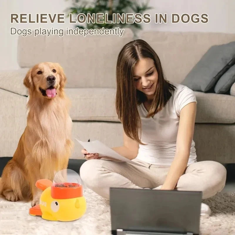 Interactive treat toy