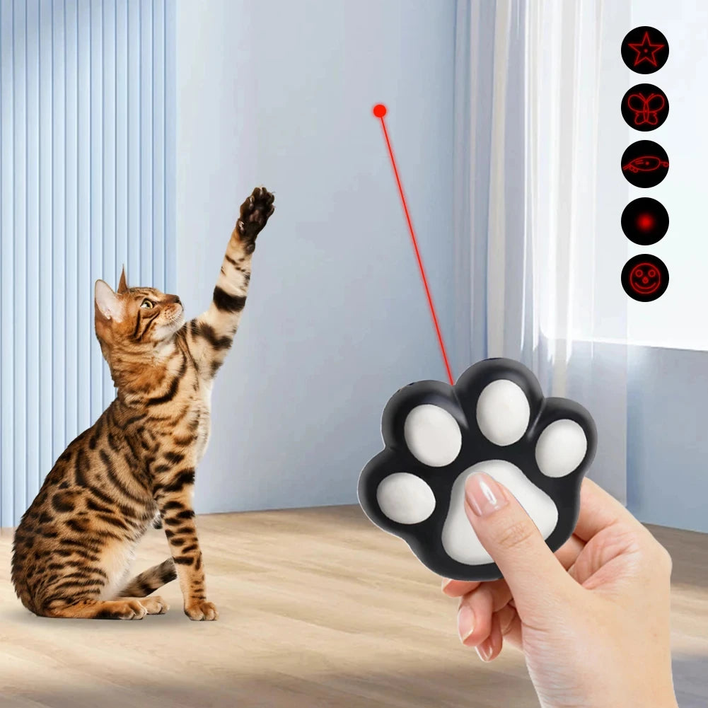 LaserPlay Pro