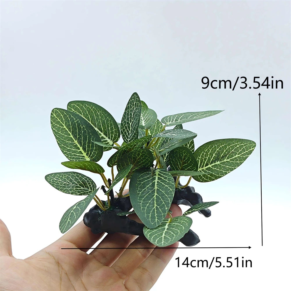 AquaScape Plants