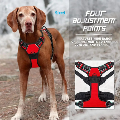 WalkEasy Harness