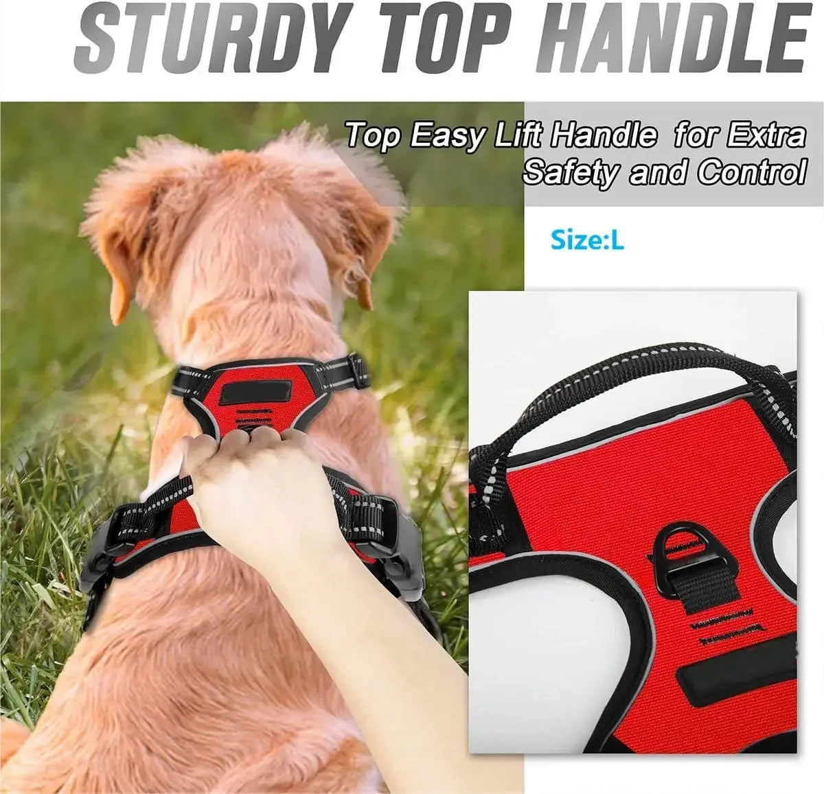 WalkEasy Harness