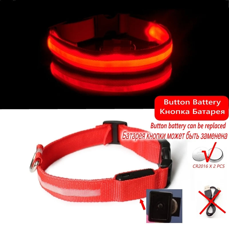 LED dog collar