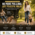 WalkEasy Harness